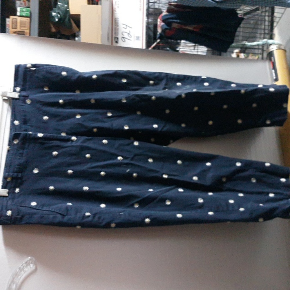Briggs New York Navy Cropped Pants with White Daisy Embroidery